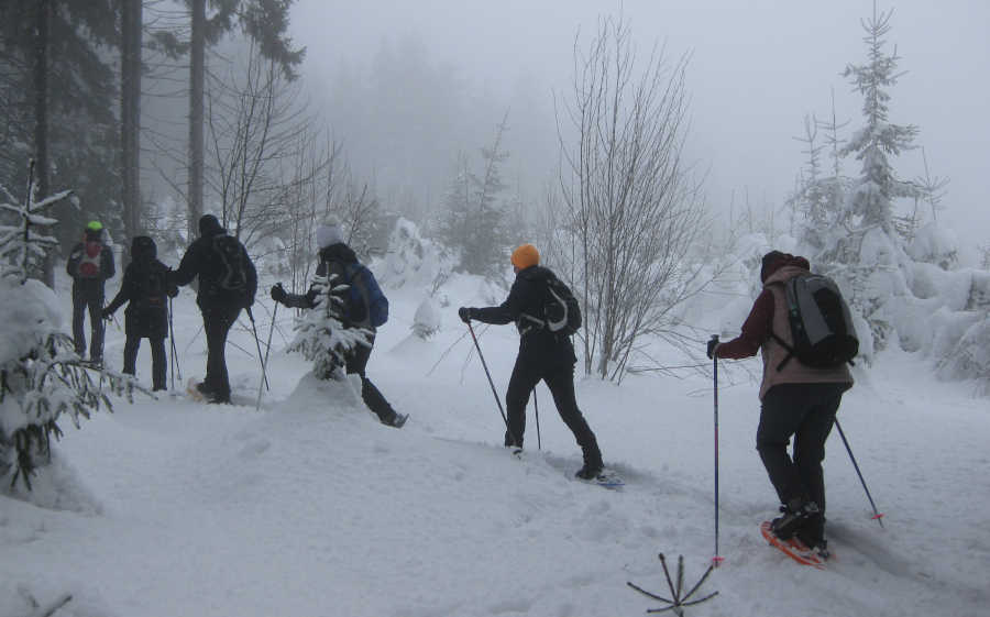 Schneeschuhwanderung